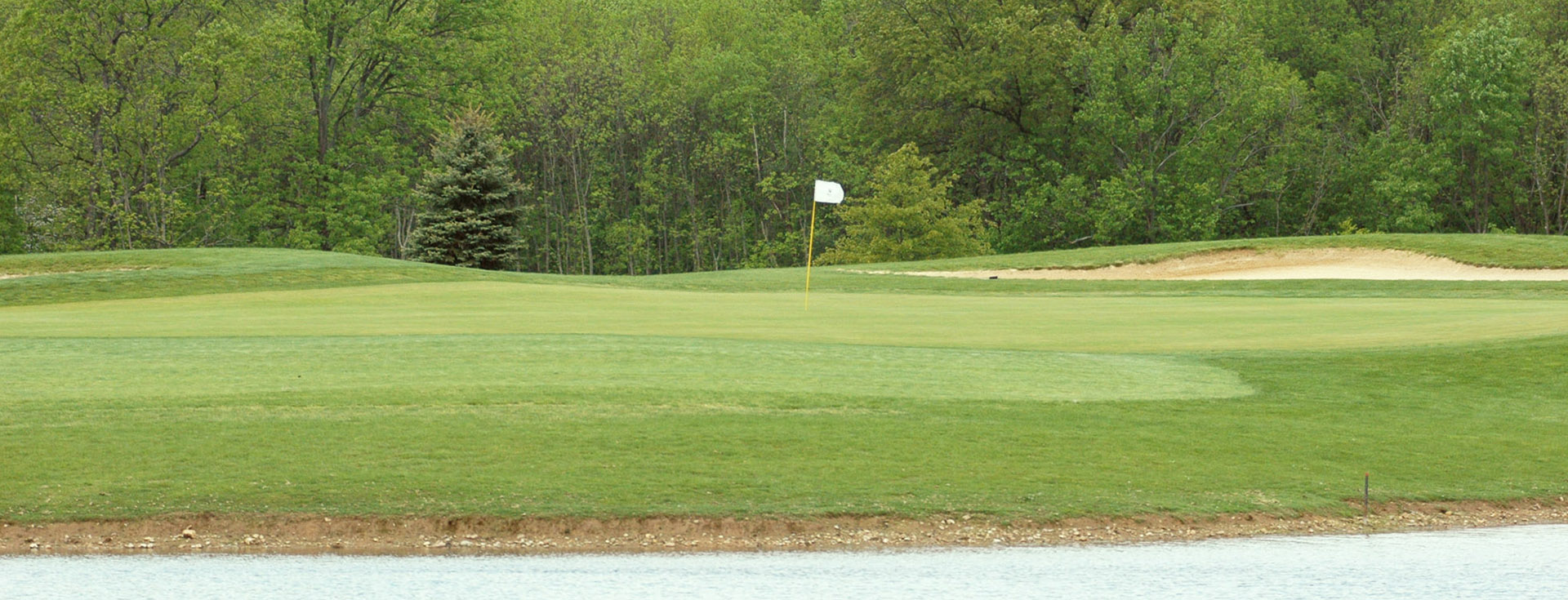 Home Wedgewood Golf Club